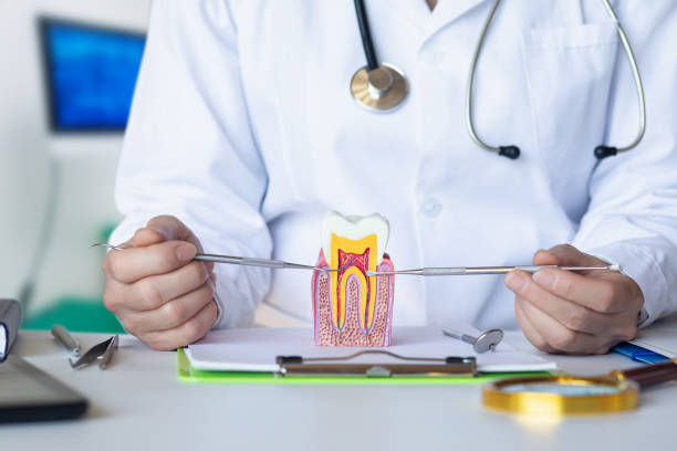 Best Emergency Tooth Extraction in Oswego, IL